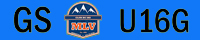 MLV_GS_U16GB.jpg