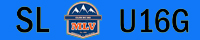MLV_SL_U16GB.jpg